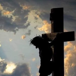 Meet your Posher, Jeanne